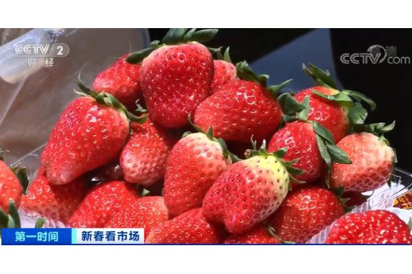 這些熱門水果，價(jià)格大降！